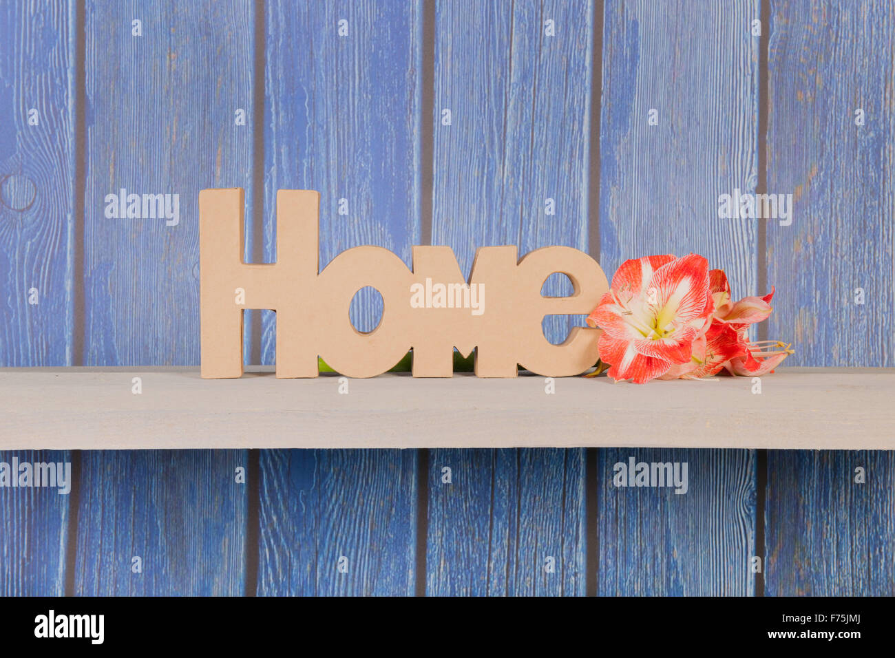 Word home with Amaryllis flowers on blue background Stock Photo