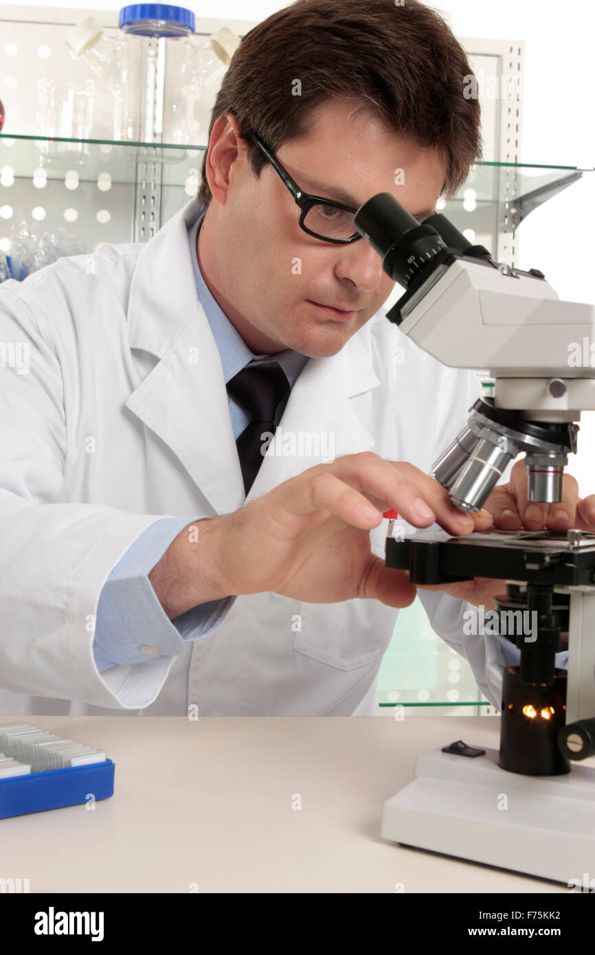 Placing slide under microscope Stock Photo Alamy