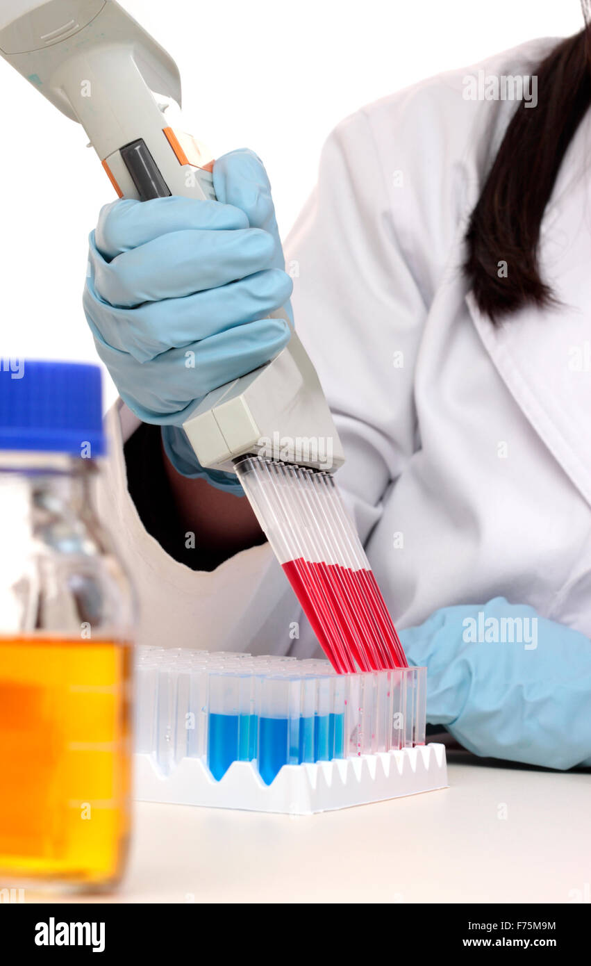 Scientist dispensing liquid from pipette Stock Photo Alamy
