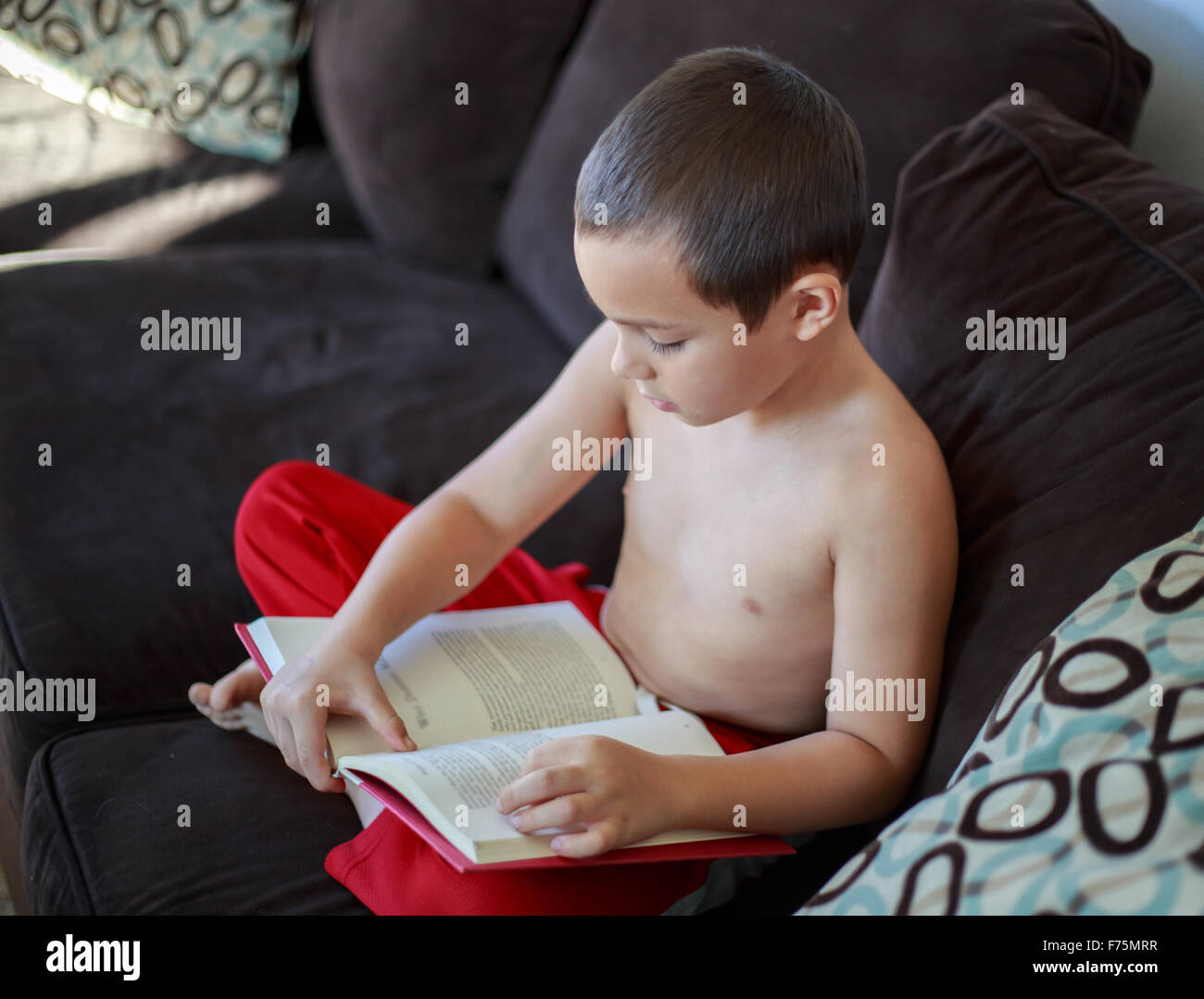 Elementary homeschool boy learning how to read Stock Photo - Alamy