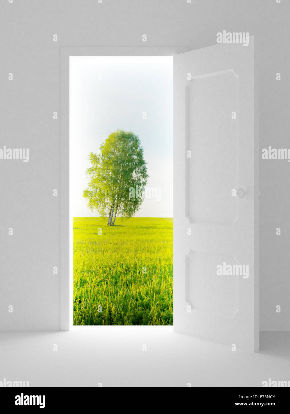 Landscape behind the open door. 3D image Stock Photo