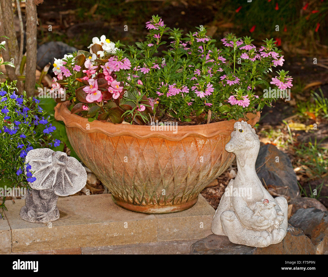 Terracotta container with Scaevola aemula,'Pink Charm' & pink bedding begonias flowering beside two decorative garden ornaments Stock Photo