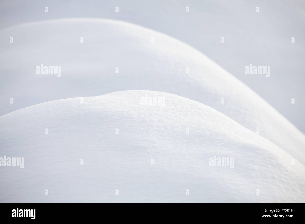 curves in the fresh snow Stock Photo - Alamy