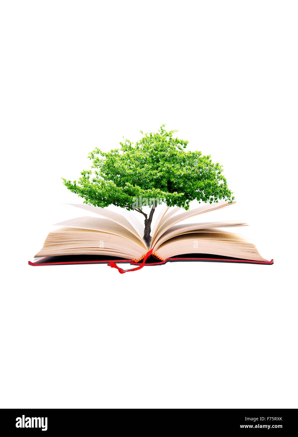 Tree in the book Stock Photo