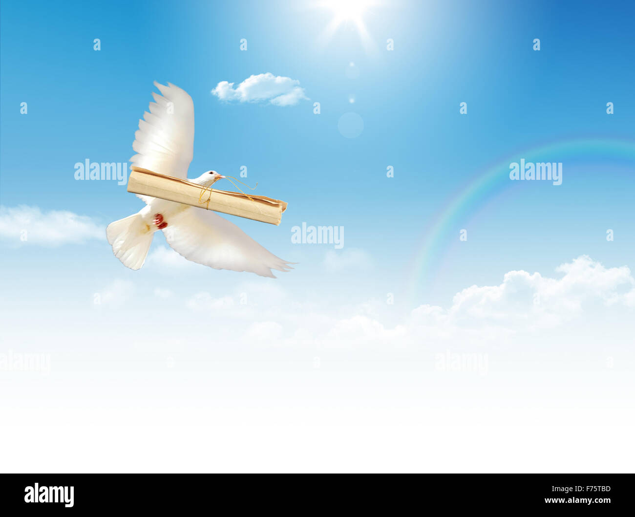 A dove and letter Stock Photo - Alamy