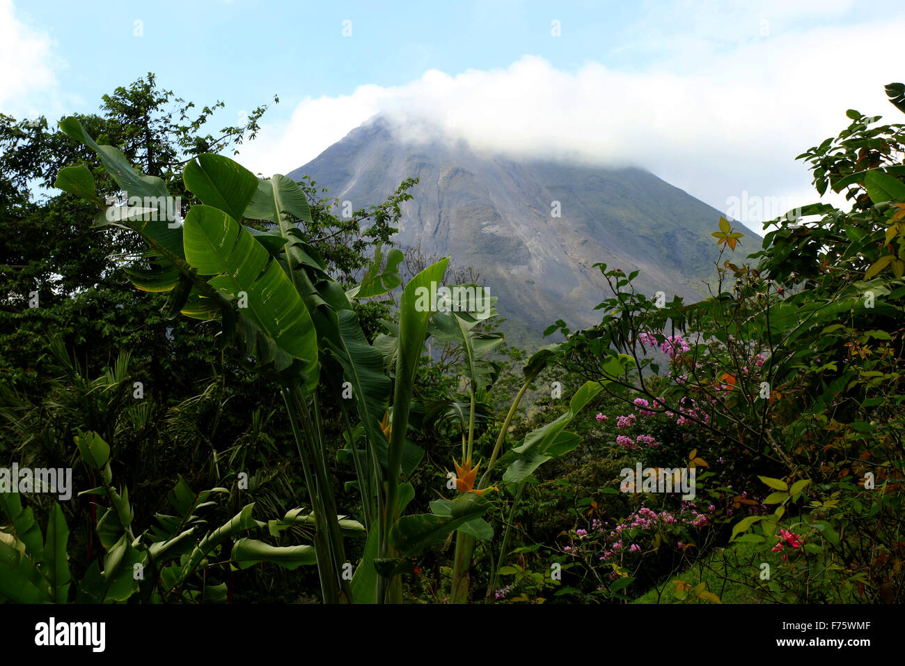 Arenal volcano viewed from the Observatory Lodge observation deck in La Fortuna, Costa Rica Stock Photo
