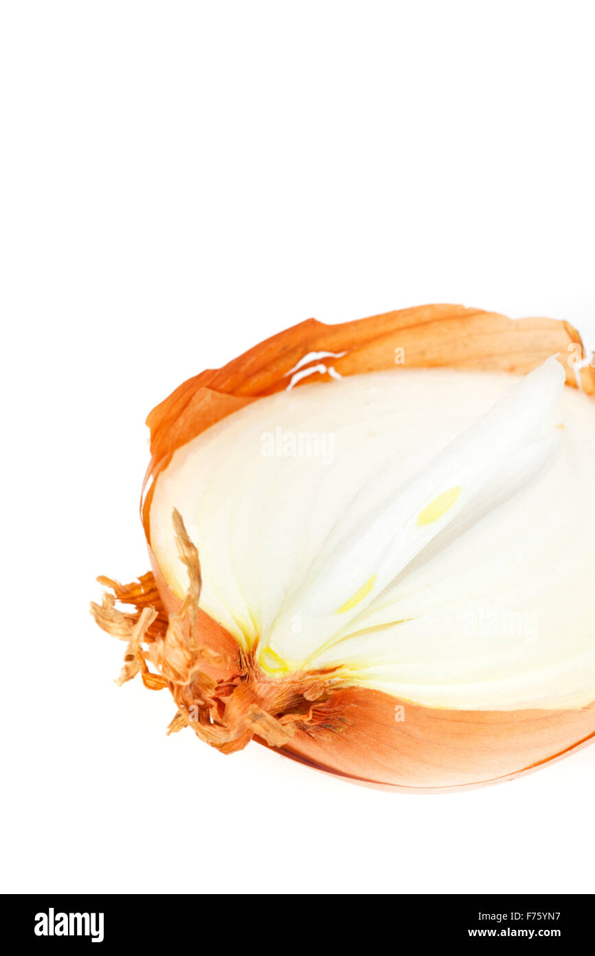 closeup of a sliced onion isolated on white background Stock Photo - Alamy