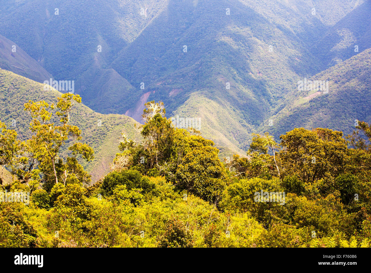 Altitude tropical forest hi-res stock photography and images - Alamy