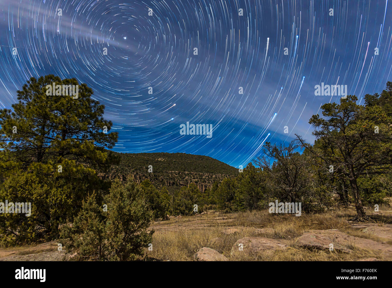 Circumpolar star trails on a moonlit night in the Gila National Forest in southern New Mexico, north of Pinos Altos. Polaris is Stock Photo