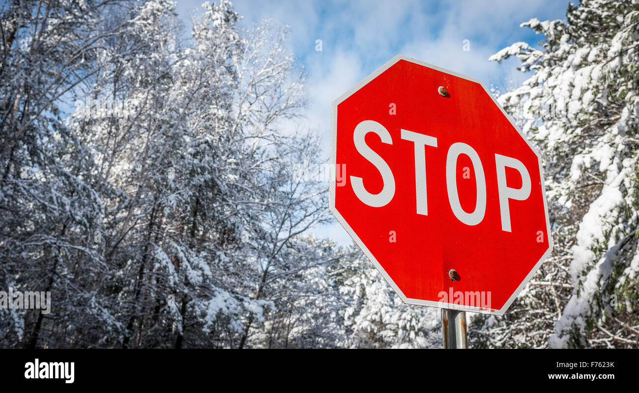 Winter Stop Sign Stop sign in the snow hi-res stock photography and images - Alamy
