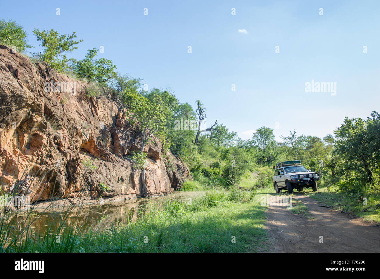 SOUTH AFRICA- Kruger National Park with SUV Stock Photo