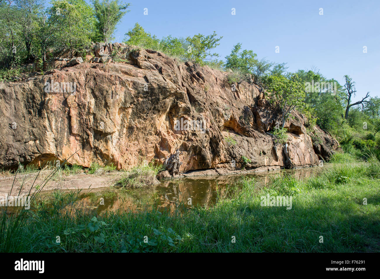 SOUTH AFRICA- Kruger National Park landscape Stock Photo