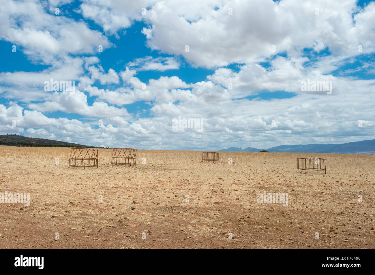 Livestock Feeders Stock Photos Livestock Feeders Stock Images