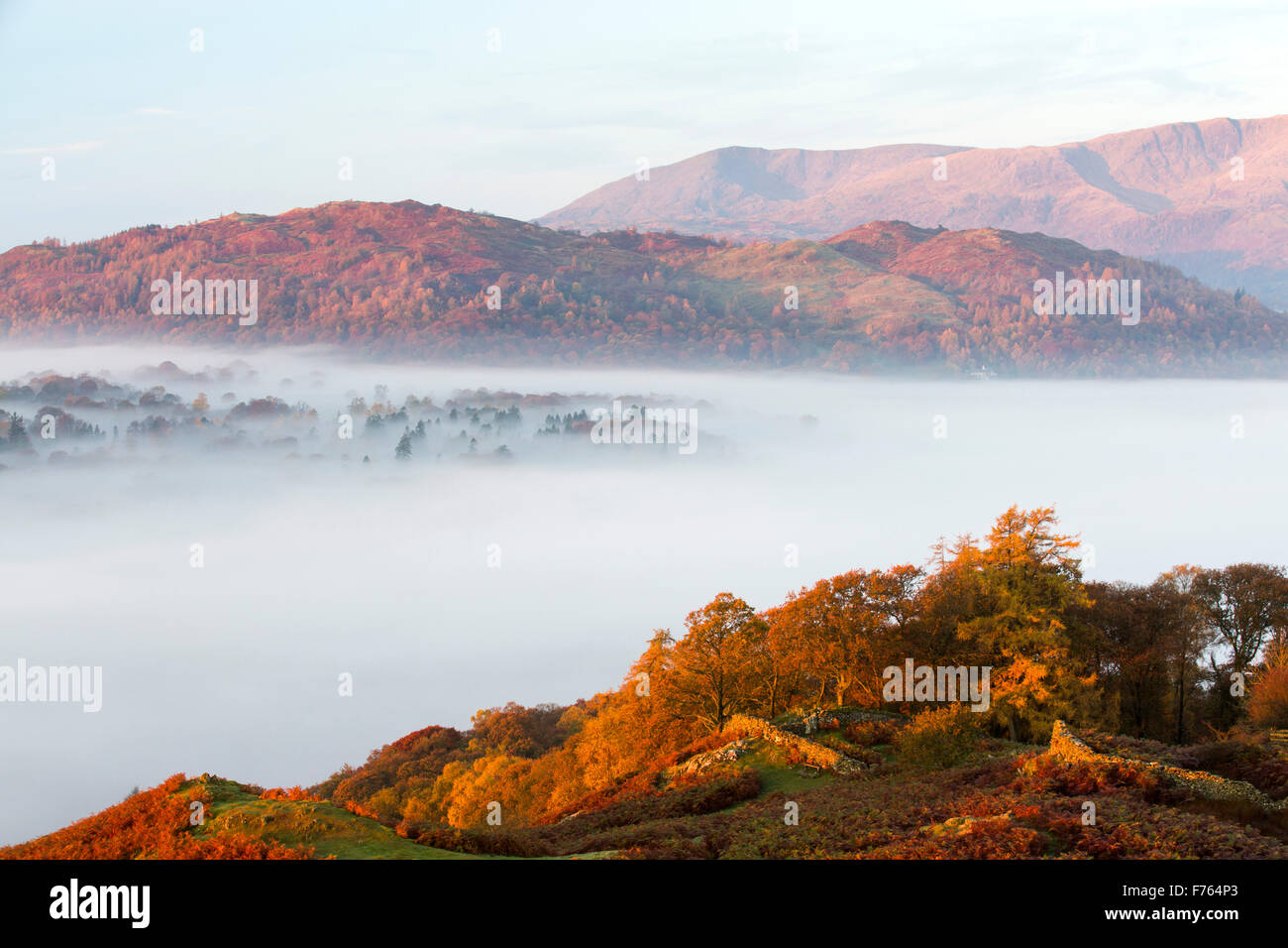 Valley mist over Lake Windermere from Todd Crag in the Lake District, UK at dawn, looking towards Coniston Old Man. Stock Photo