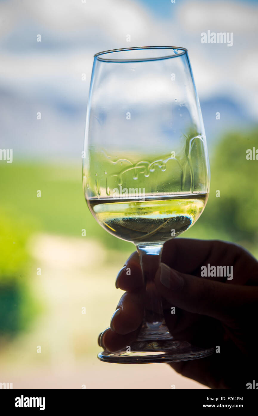 SOUTH AFRICA Detail of wine glass Stock Photo Alamy
