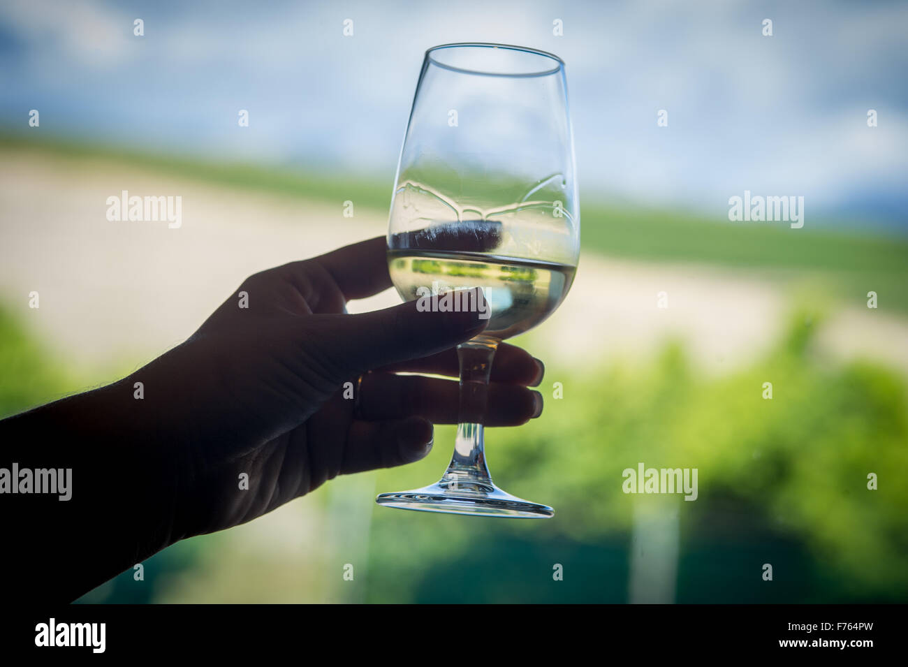 Woman holding glass of wine hi-res stock photography and images - Alamy