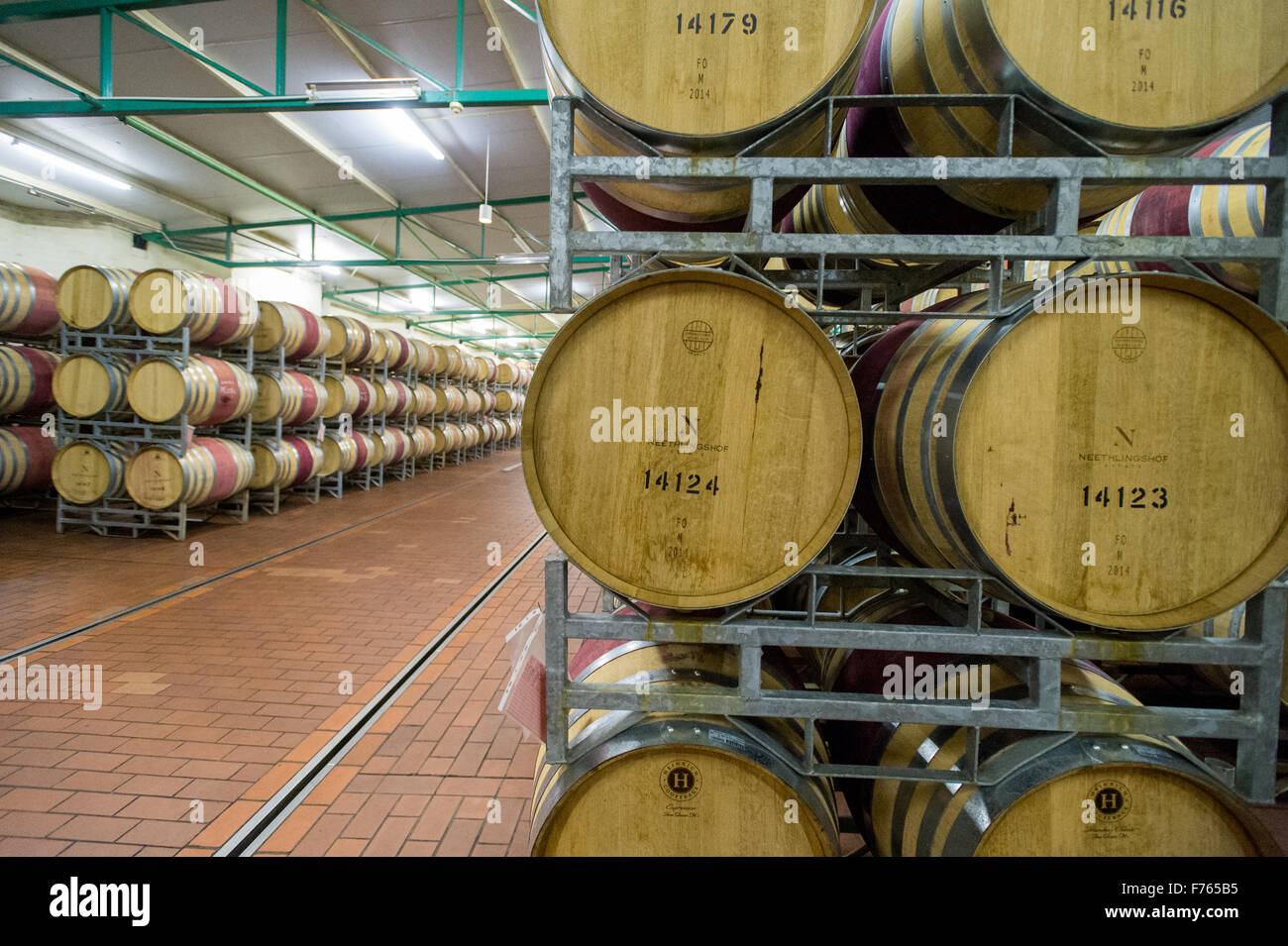 SOUTH AFRICA Wine barrels in vineyard Stock Photo Alamy