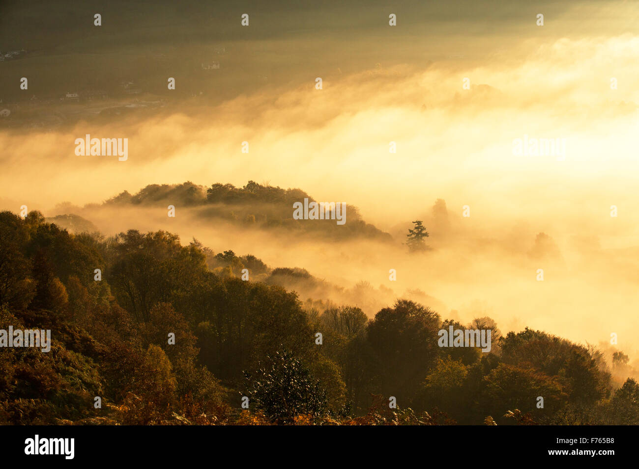 Valley mist over Lake Windermere from Todd Crag in the Lake District, UK at sunrise. Stock Photo