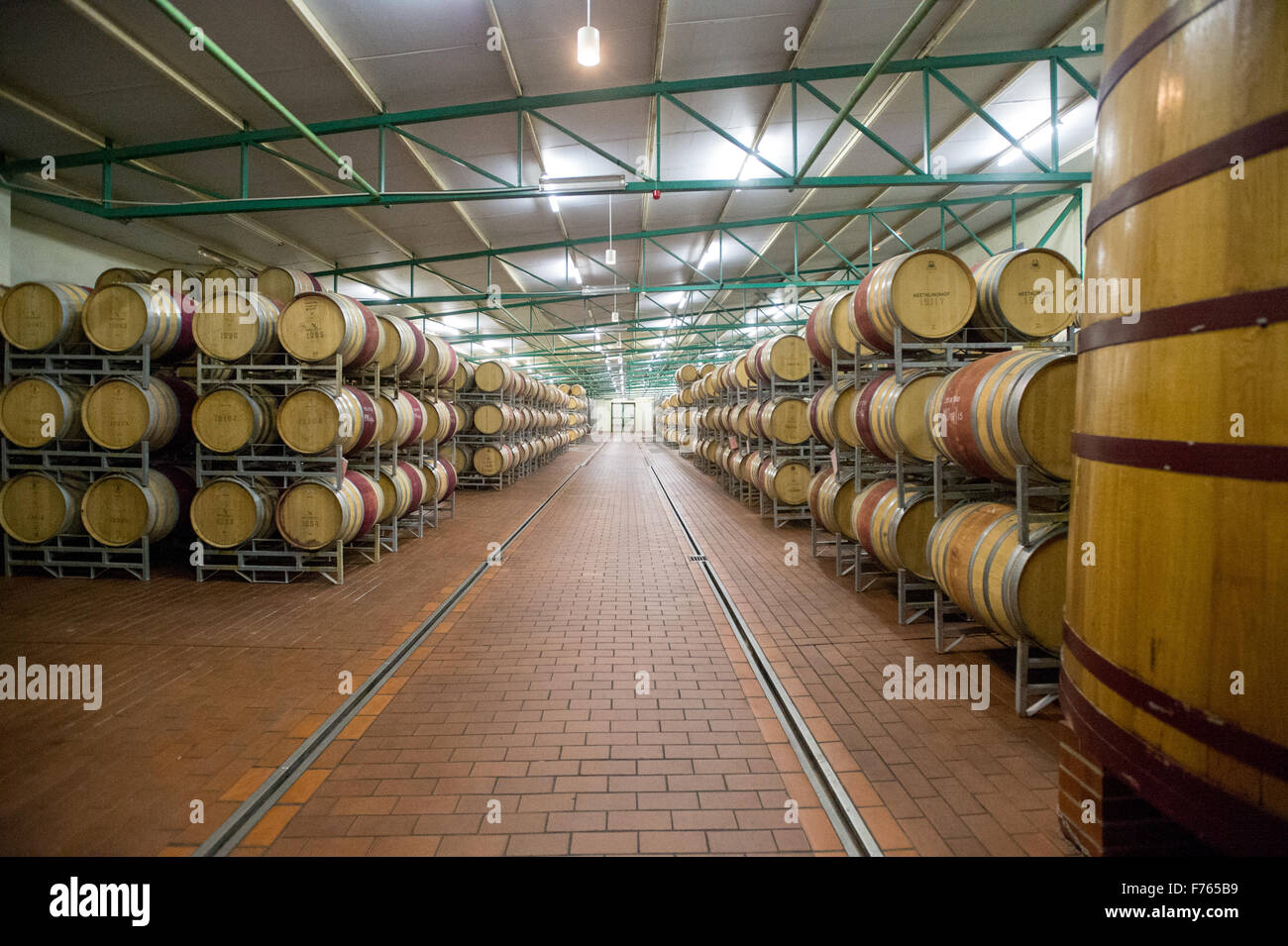 SOUTH AFRICA Wine barrels in vineyard Stock Photo Alamy