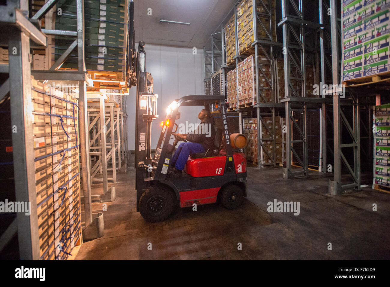Man moving boxes of produce with a skid loader at the Tshwane Fresh Produce Market in South