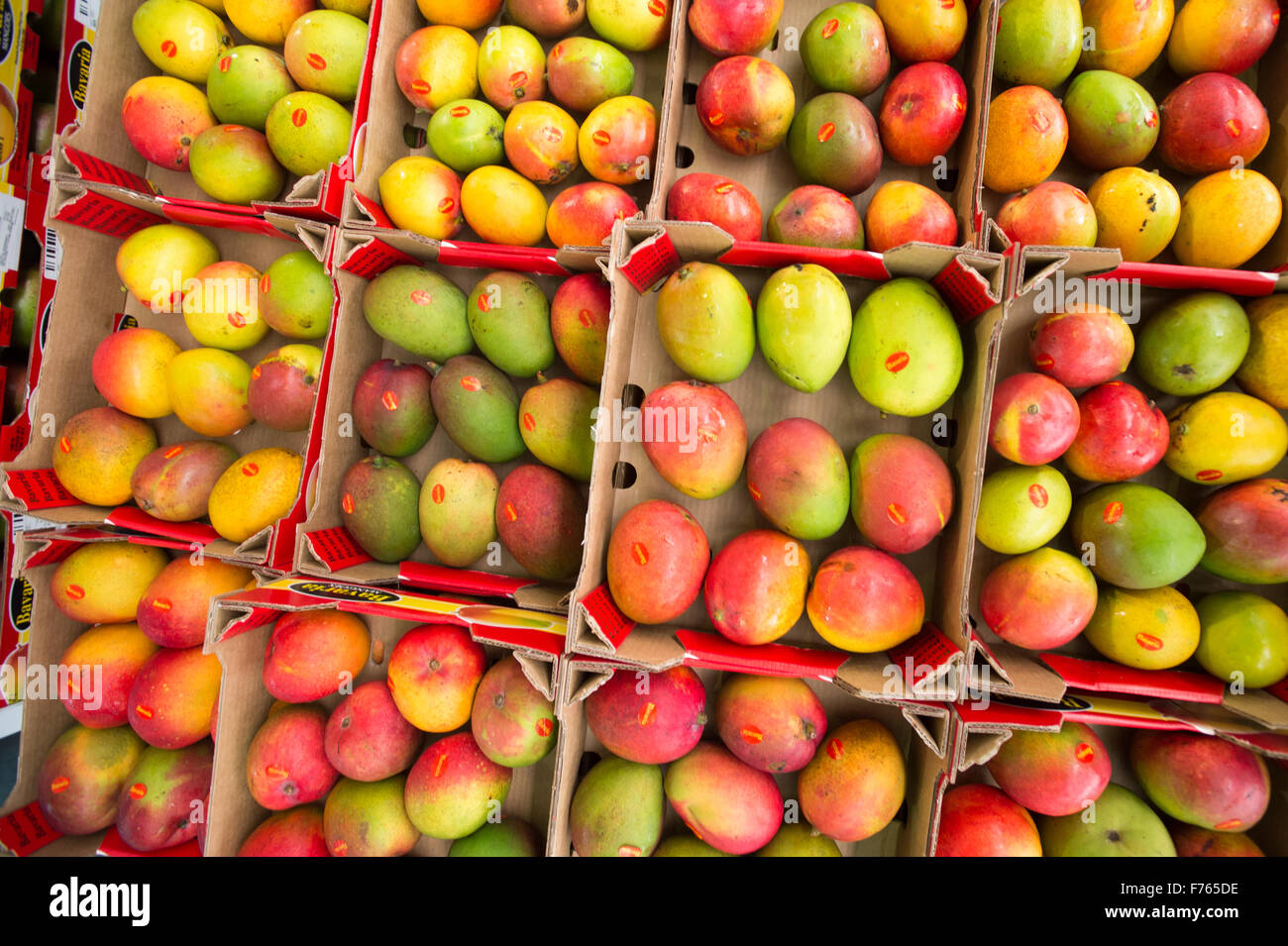 Fresh mangoes at the Tshwane Fresh Produce Market in South Africa Stock
