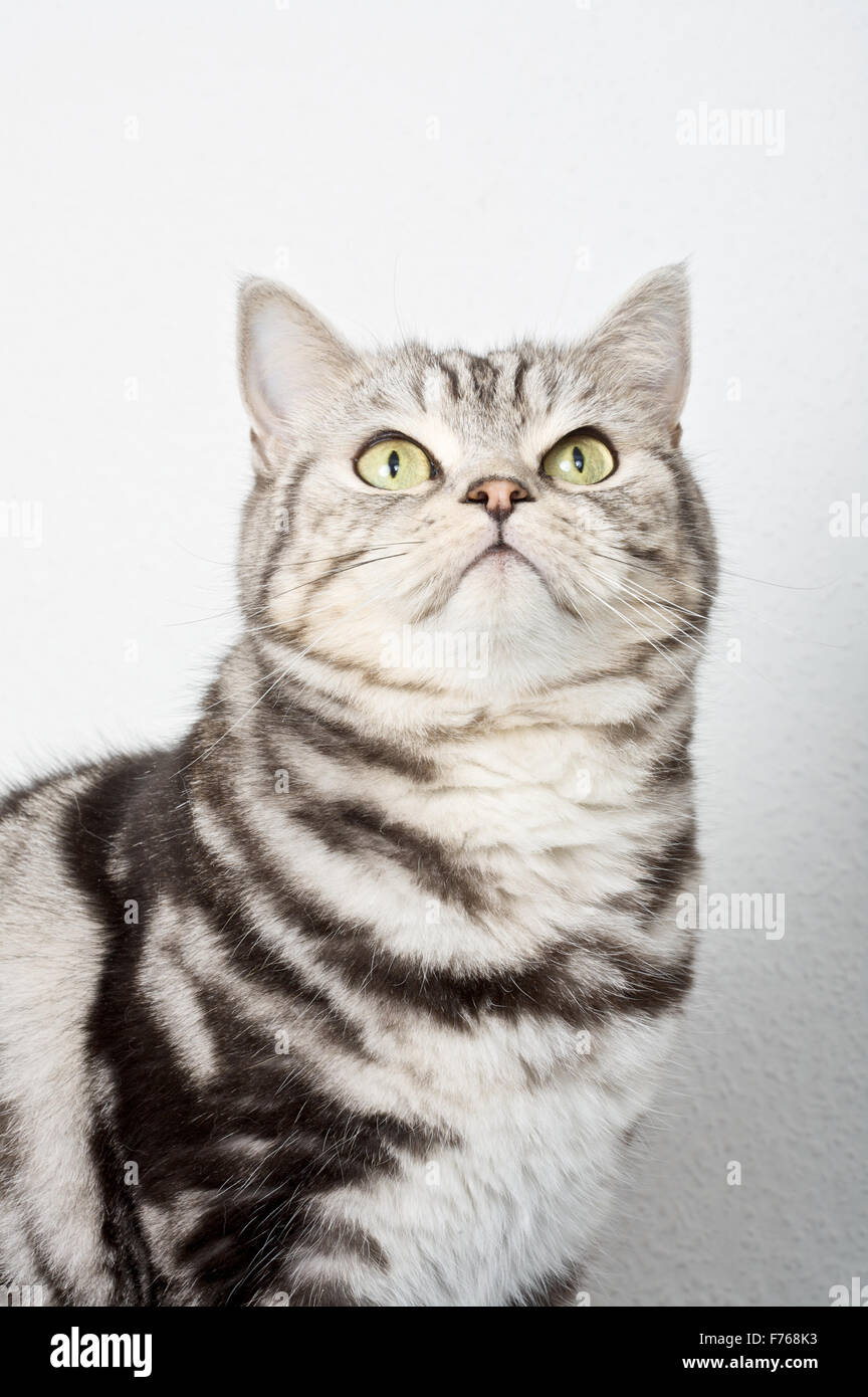 Is that for me? Stock Photo