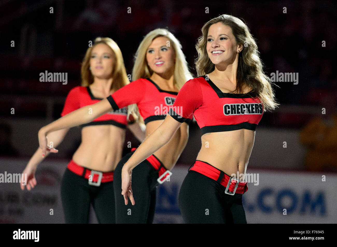 Charlotte Checkers Checkmates cheerleaders during the AHL game between the San Jose Barracuda and the Charlotte Checkers on Wednesday Nov. 25, 2015 at Bojangles Coliseum, in Charlotte, NC. Jacob Kupferman/CSM Stock Photo