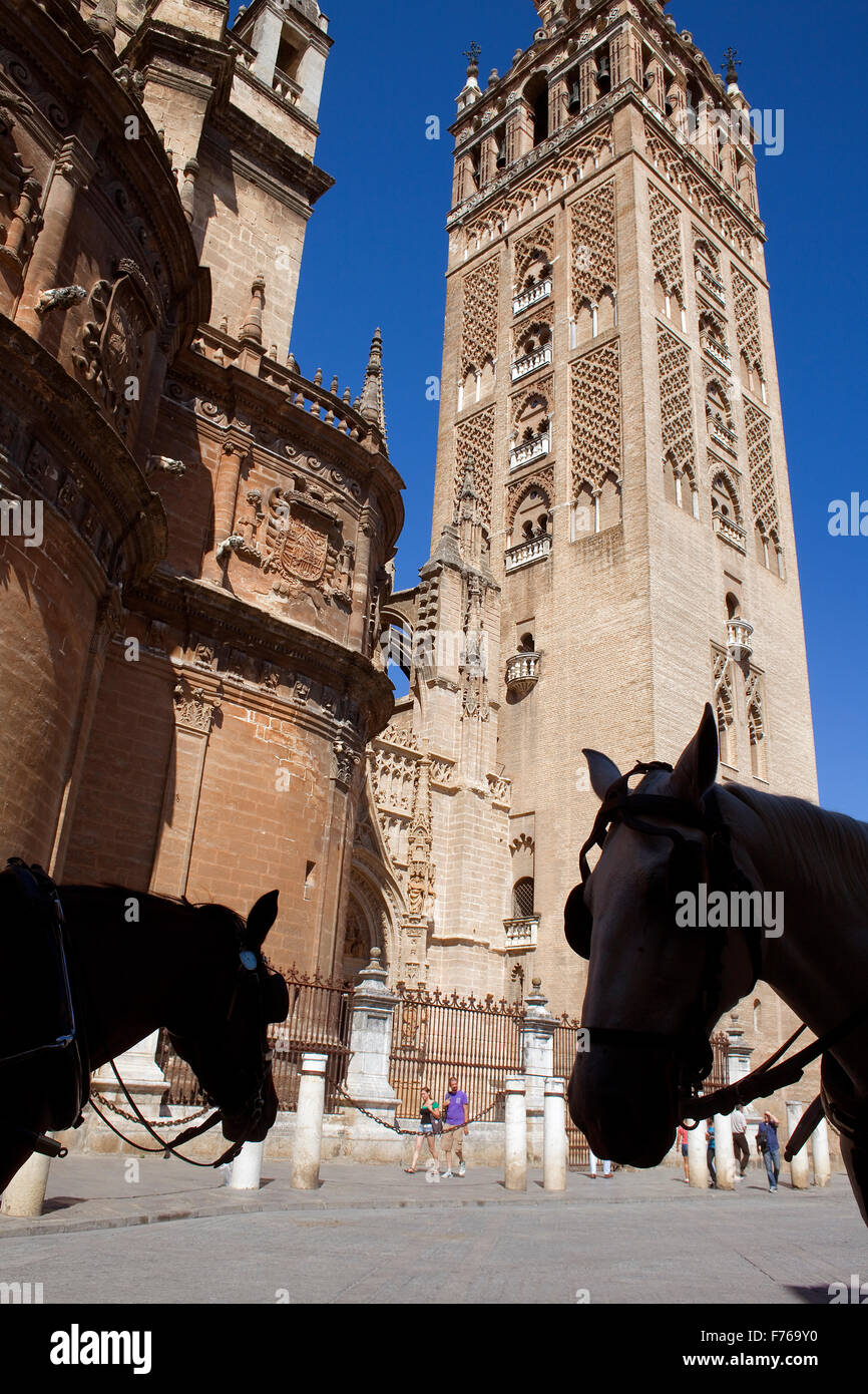Cathedral,Giralda tower from Plaza Virgen de los Reyes,Sevilla,Andalucía,Spain Stock Photo