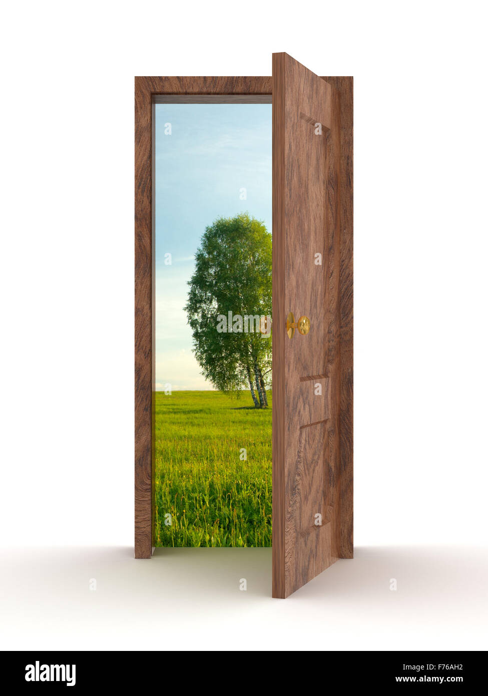 Landscape behind the open door. 3D image Stock Photo