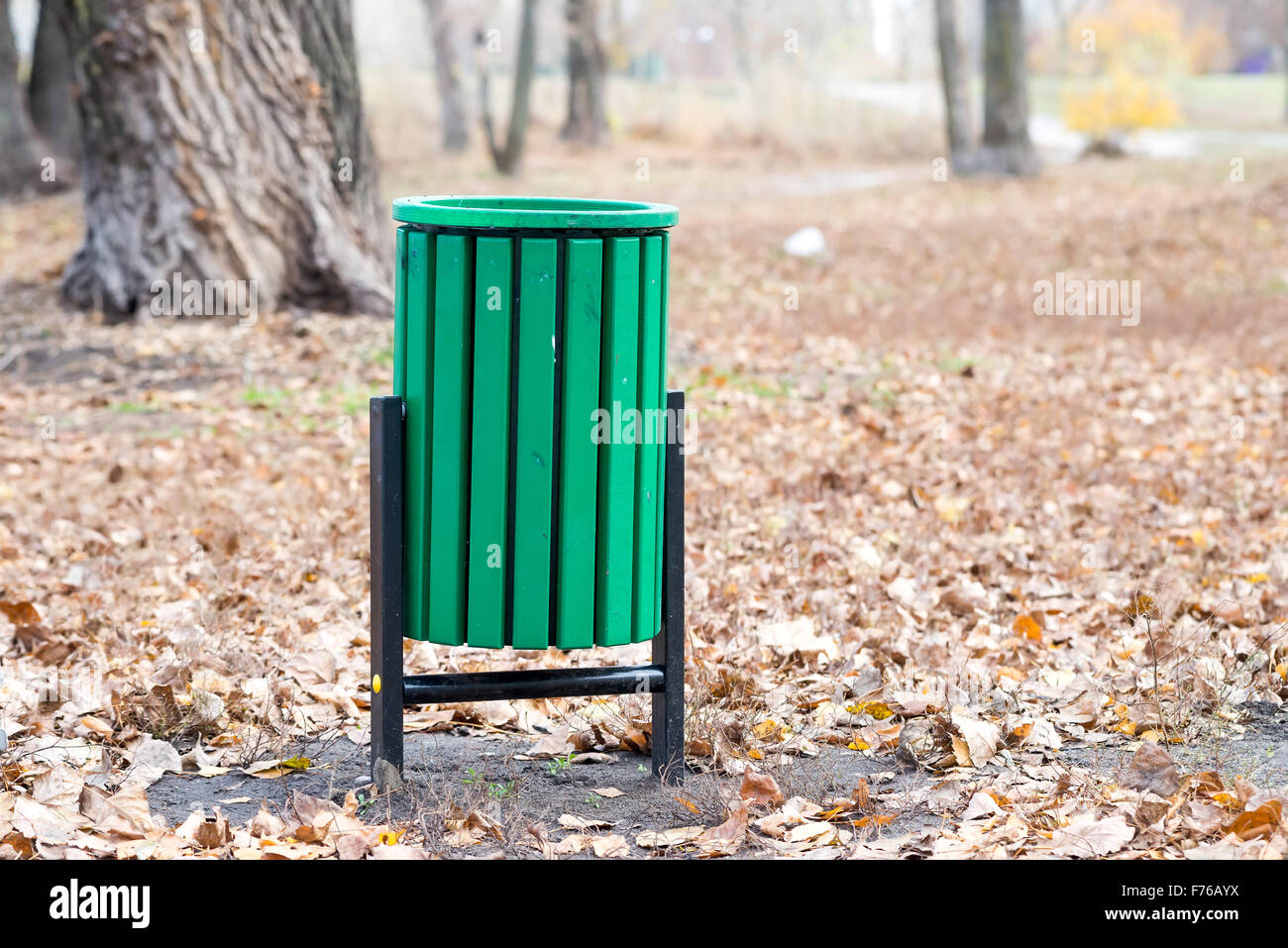 New green trash bin in the park in autumn Stock Photo