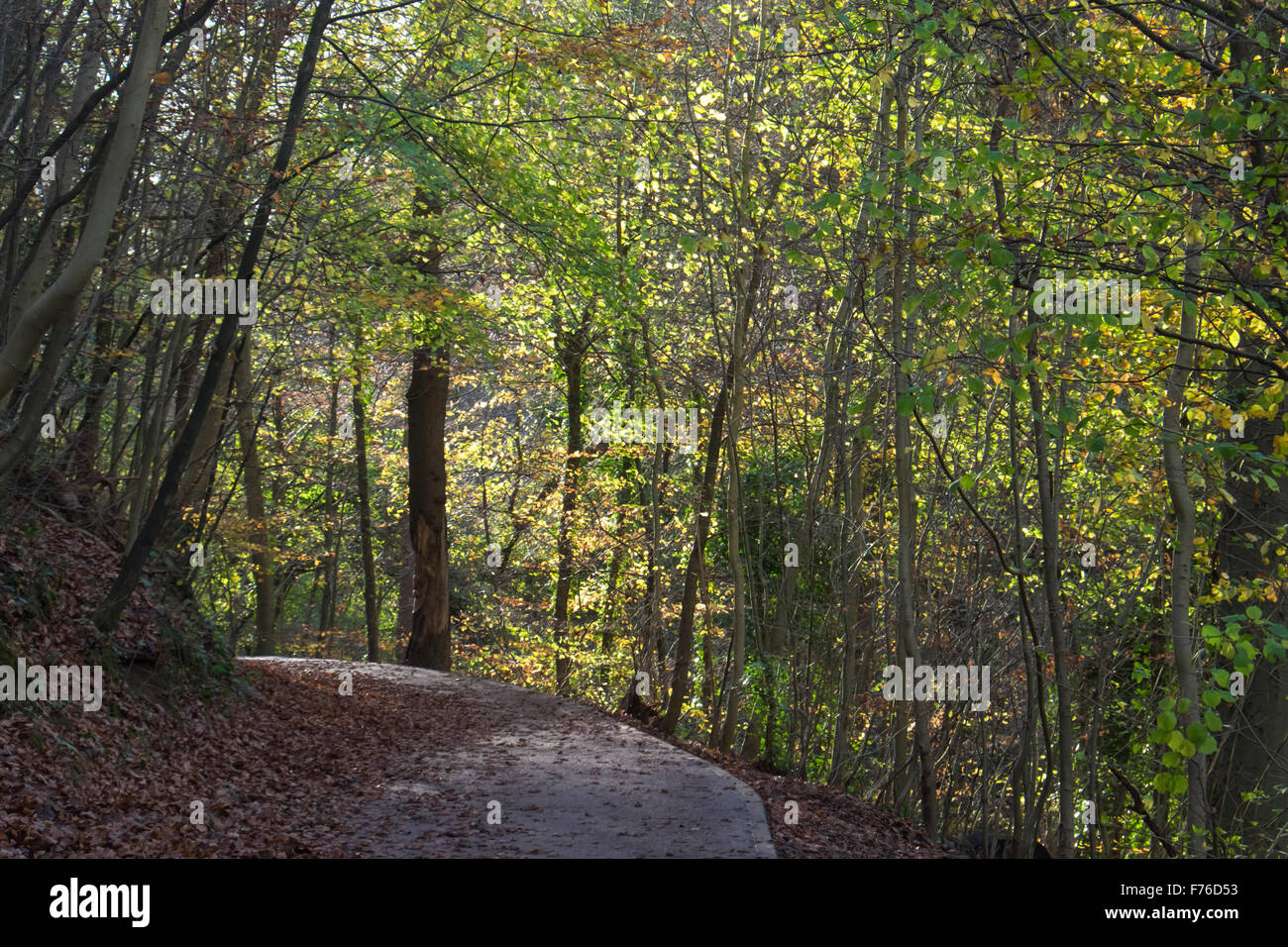 Blaise Castle Park Bristol England UK Stock Photo Alamy