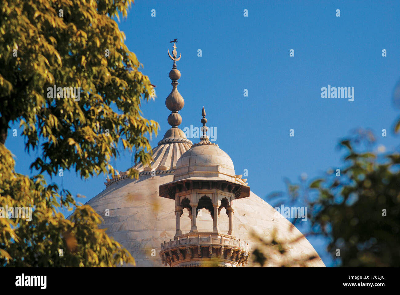 Top of taj mahal, agra, delhi, india, asia Stock Photo