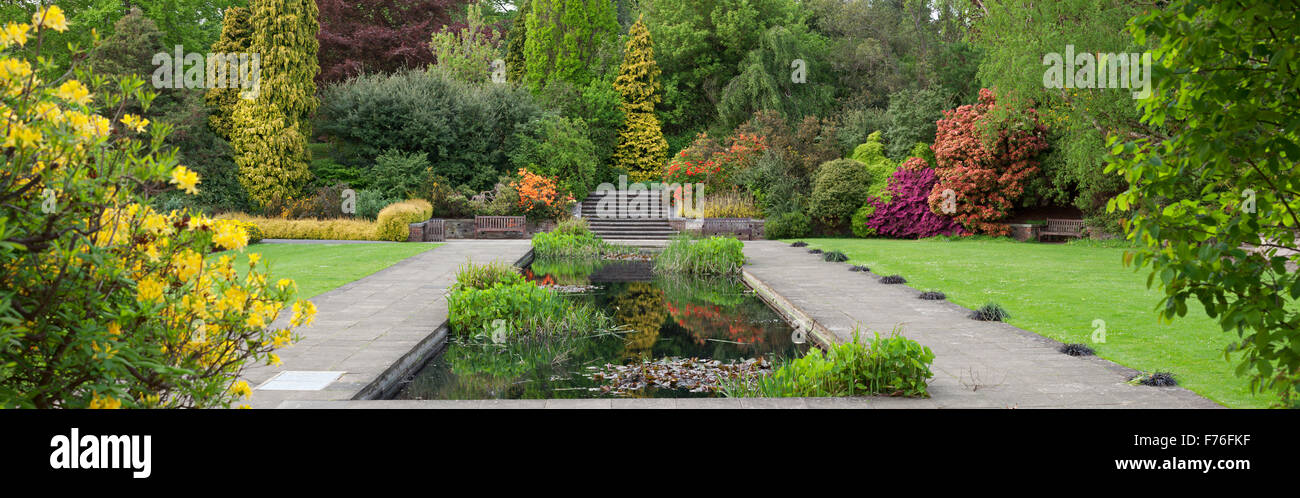 Spring in the Edwardian Hill garden, Hampstead Stock Photo