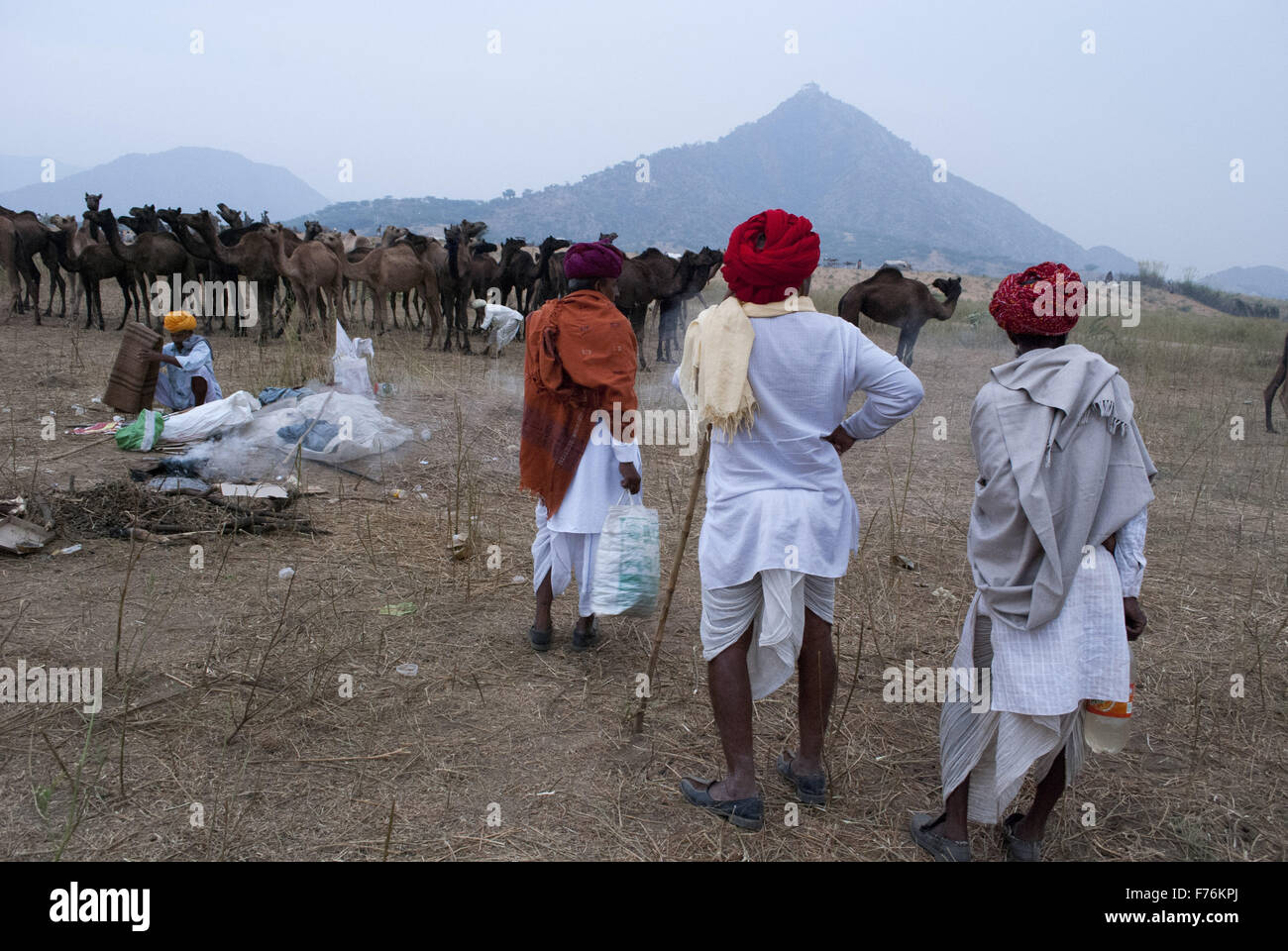 camel fair, pushkar, rajasthan, india, asia Stock Photo