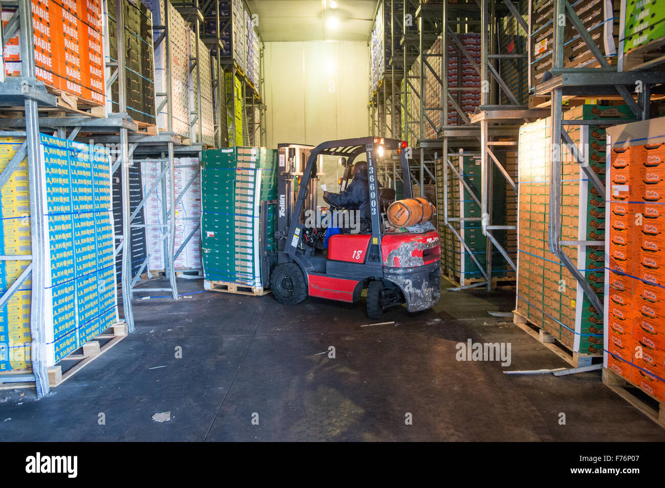 Man moving boxes of produce with a skid loader at the  Tshwane Fresh Produce Market in South Africa Stock Photo