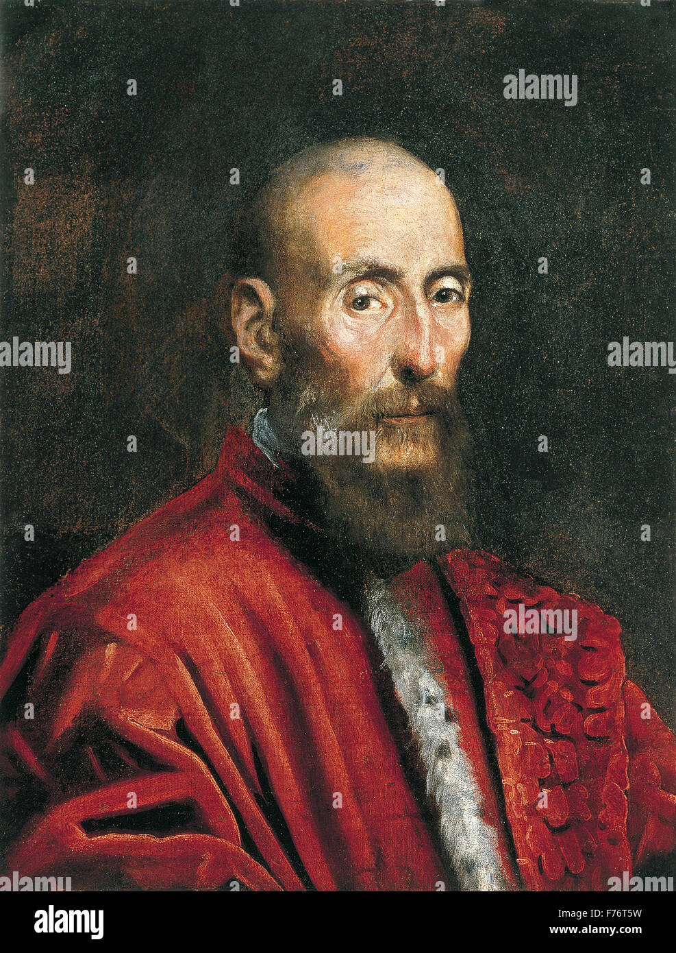 Jacopo Tintoretto - Portrait of a Senator Stock Photo