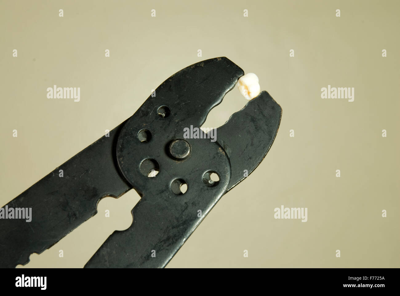 Plier with tooth Stock Photo Alamy