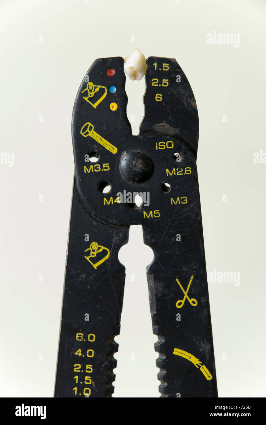 Plier with tooth Stock Photo Alamy