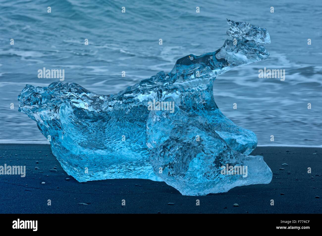Blue iceberg stranded at the black lava of Breidarsandur, South Iceland, Iceland Stock Photo