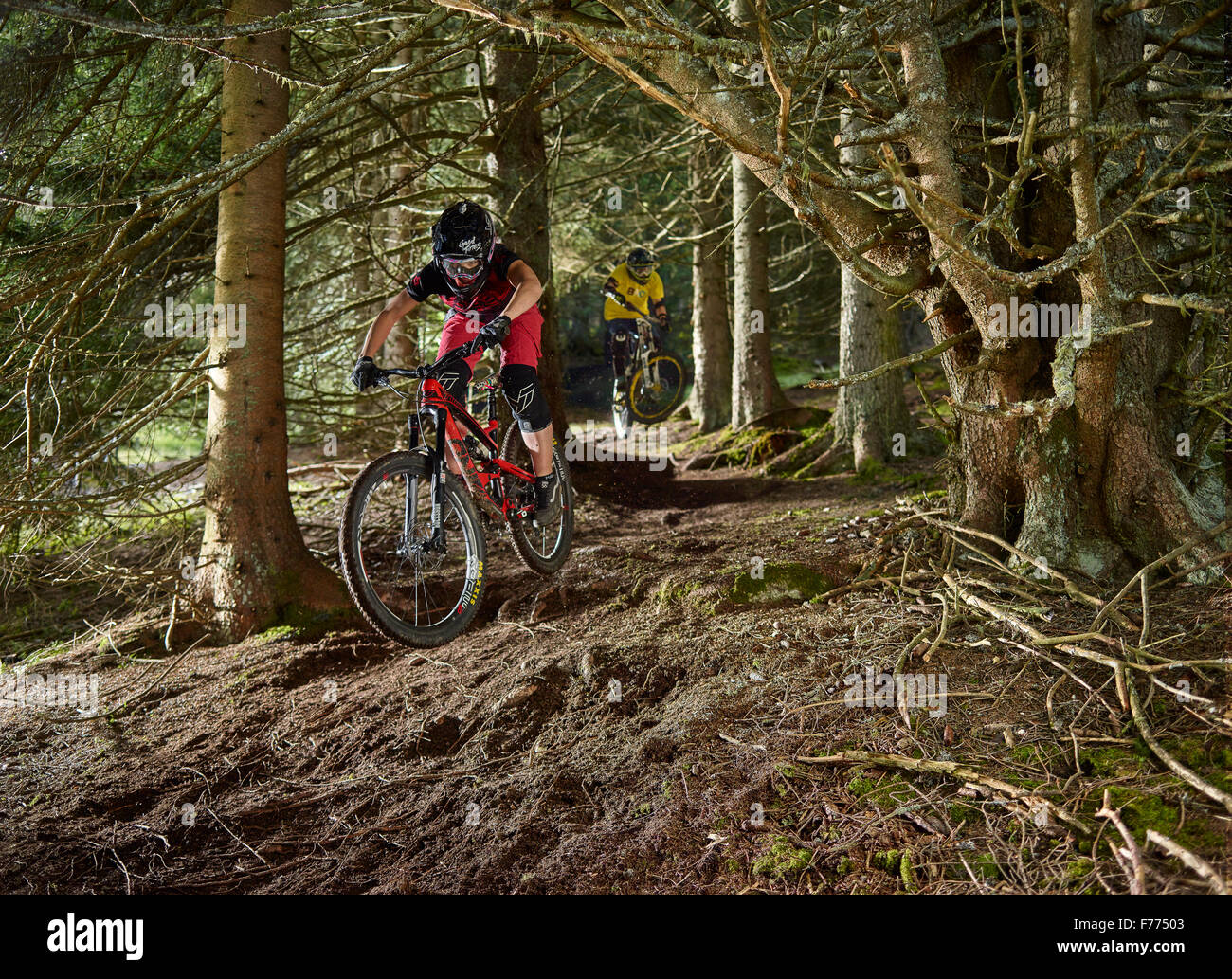 Mountain bikers, downhill bikers riding a downhill trail through the woods, Mutterer Alm, Muttereralmpark, Mutters, Tyrol Stock Photo