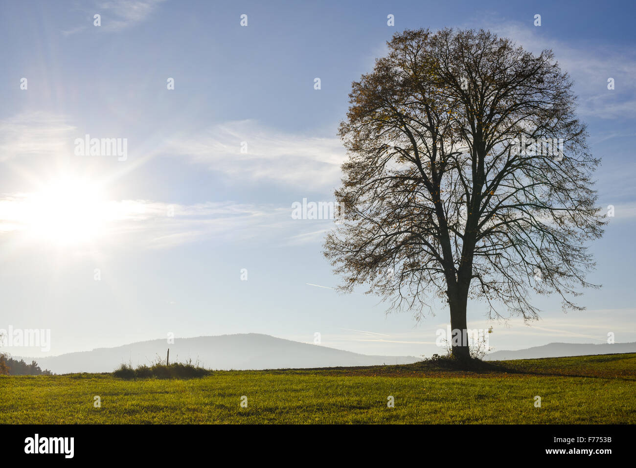 Vorau Puchegg, Styria, Austria, Vorau-Puchegg Stock Photo - Alamy