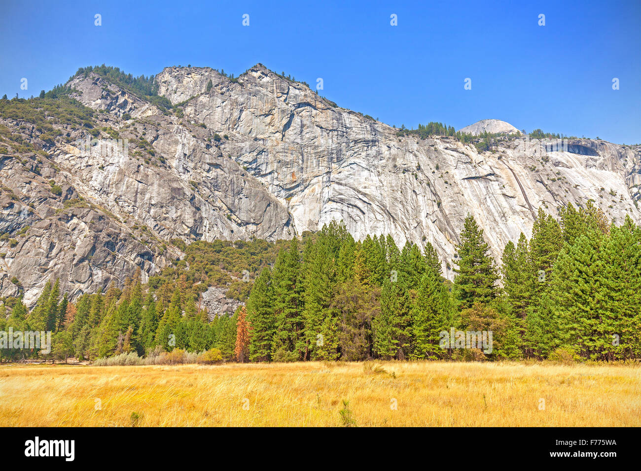 Mountain landscape in Yosemite National Park, USA Stock Photo Alamy