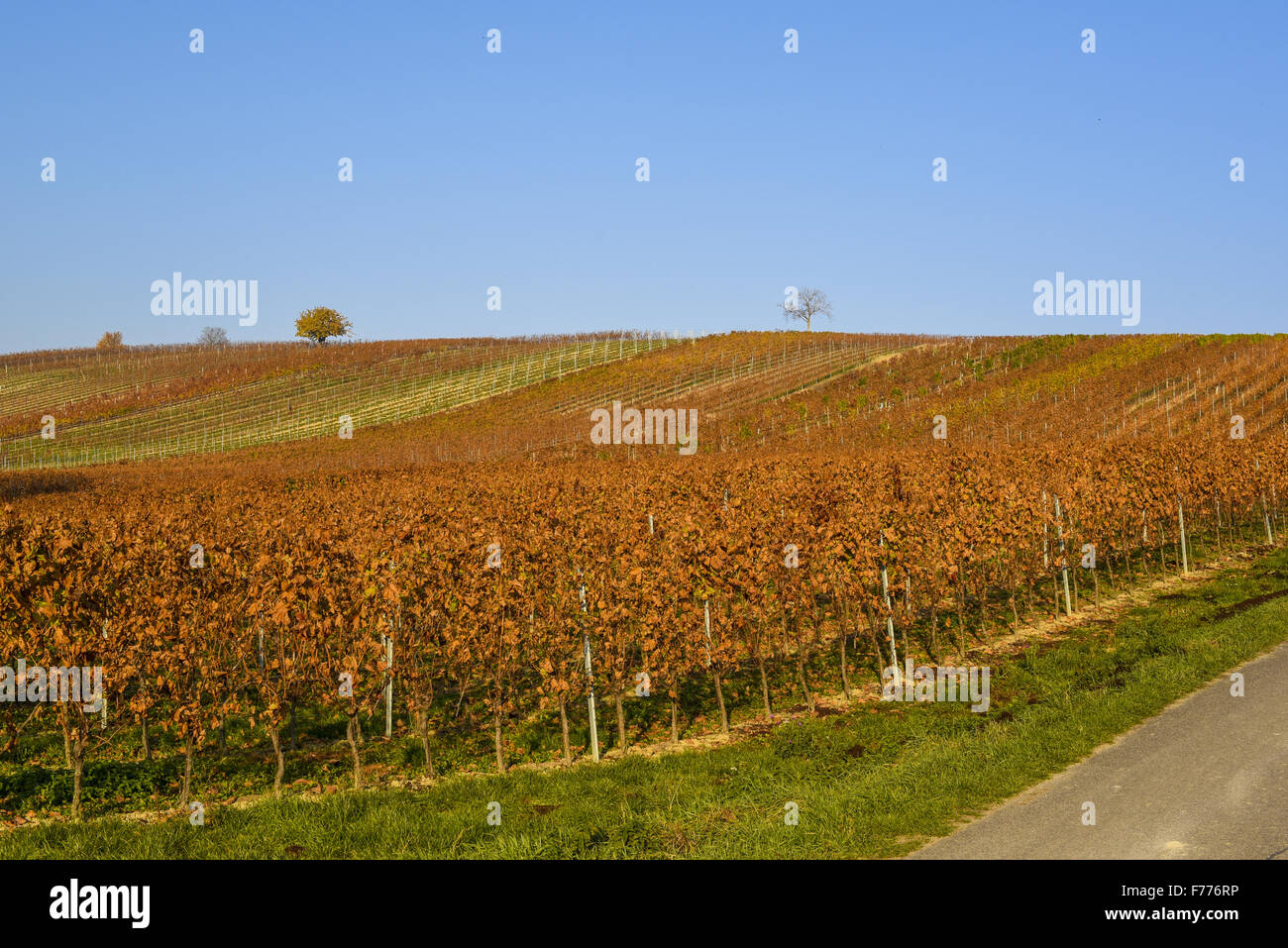 deutschkreutz-hi-res-stock-photography-and-images-alamy