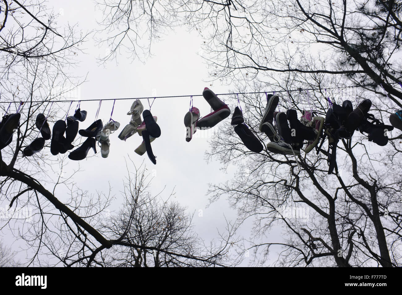 A line of shoes hanging from a line suspended between two trees in a
