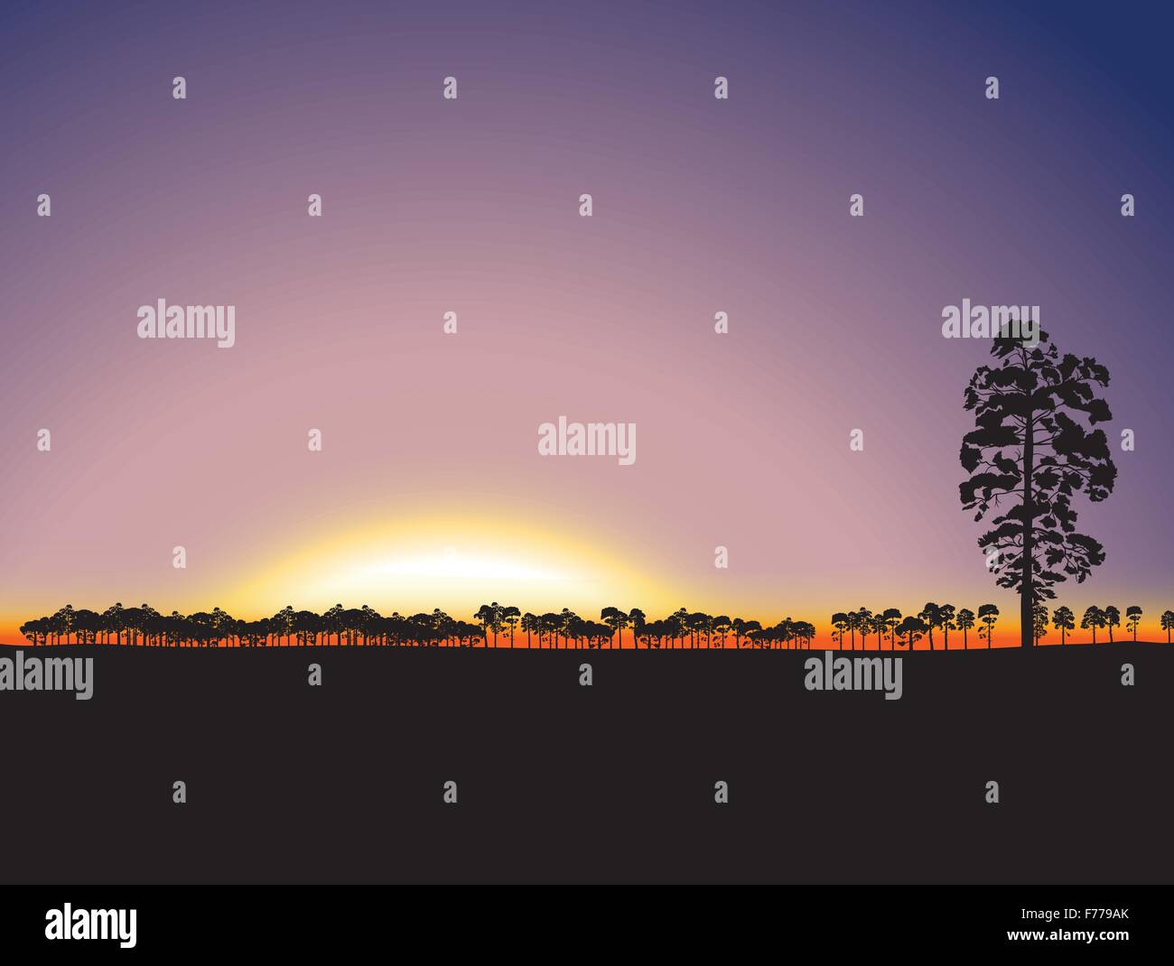 Nature sunset background Stock Vector Image & Art - Alamy