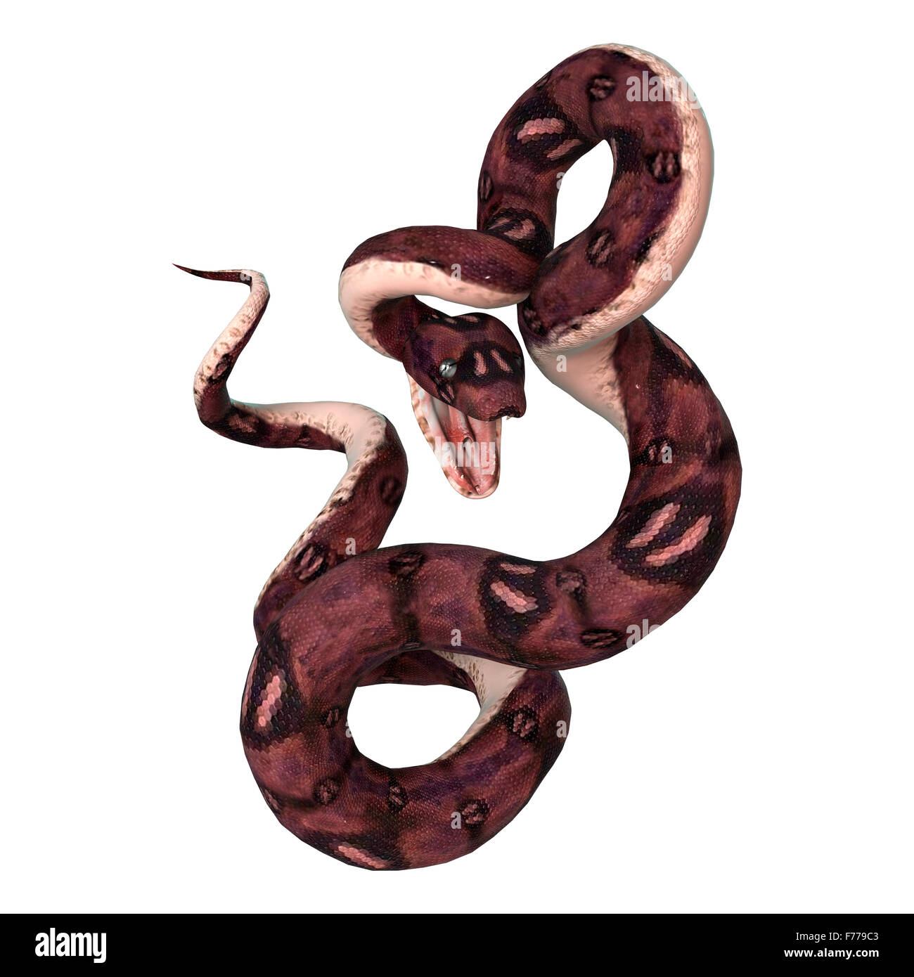 3d render snake hi-res stock photography and images - Alamy