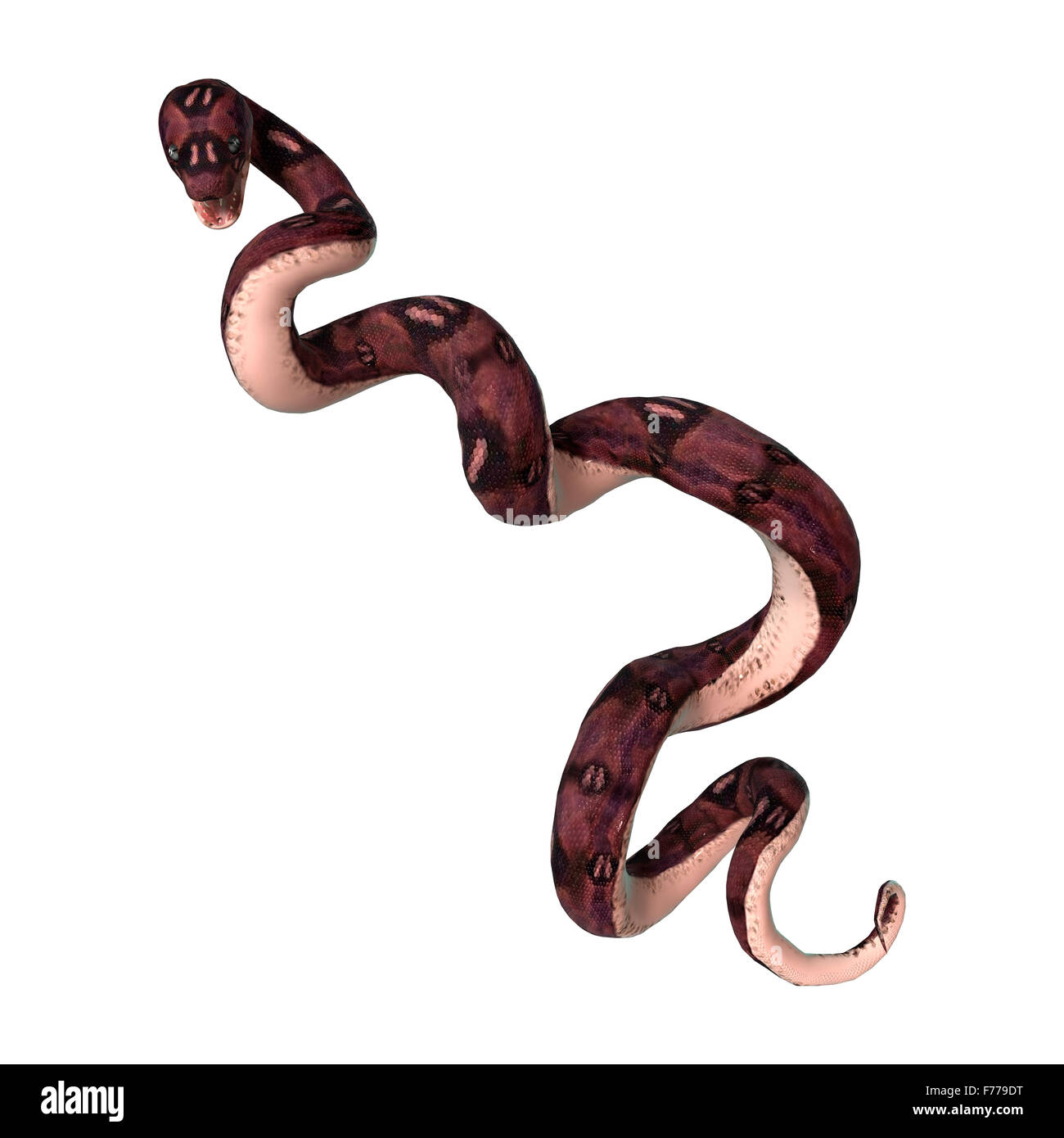 3d render snake hi-res stock photography and images - Alamy