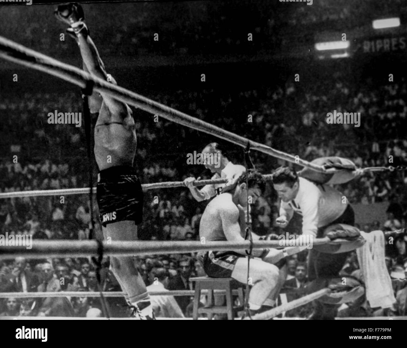 Boxers boxing fifties hires stock photography and images Alamy