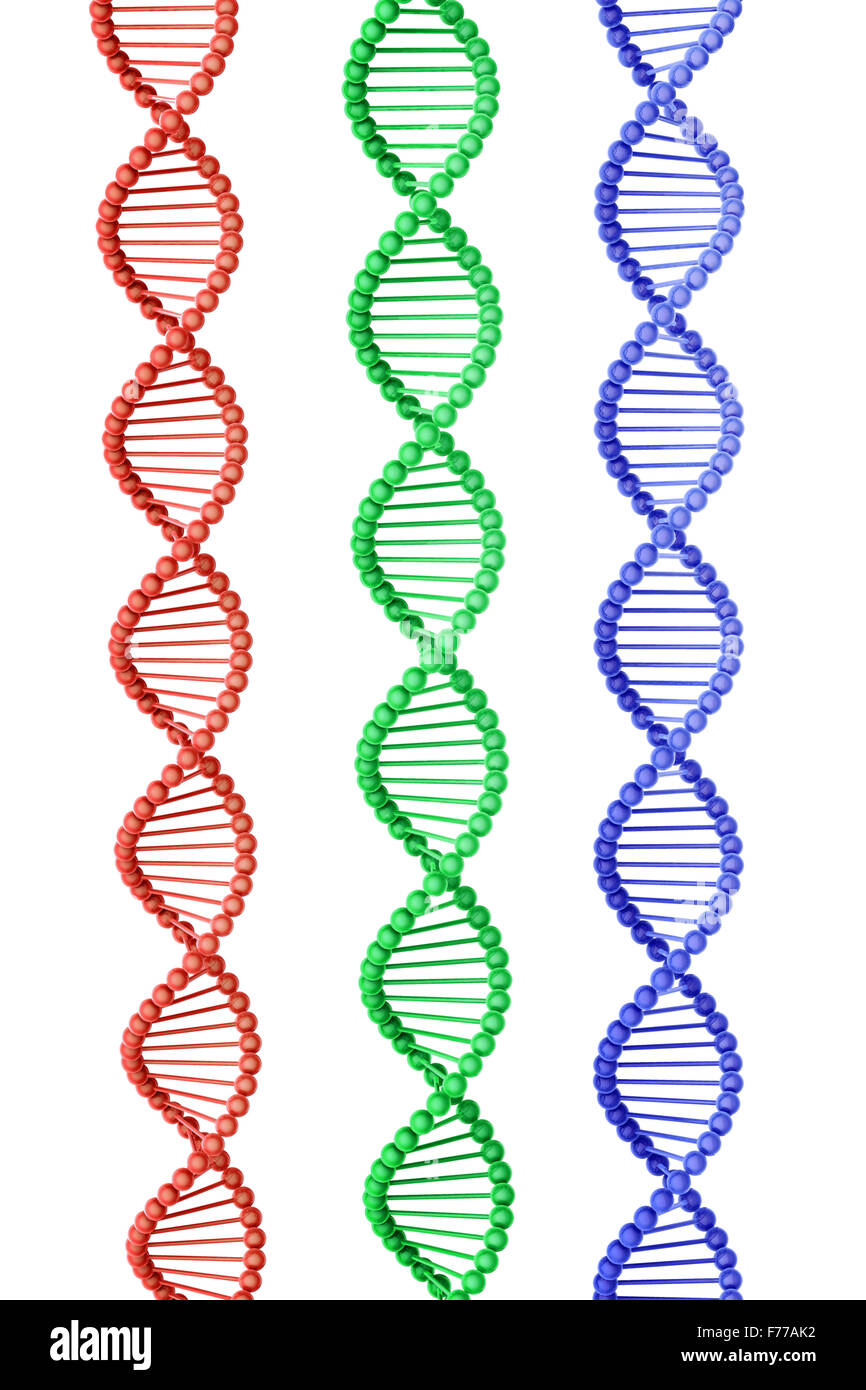 Three DNA Strands isolated on white Stock Photo