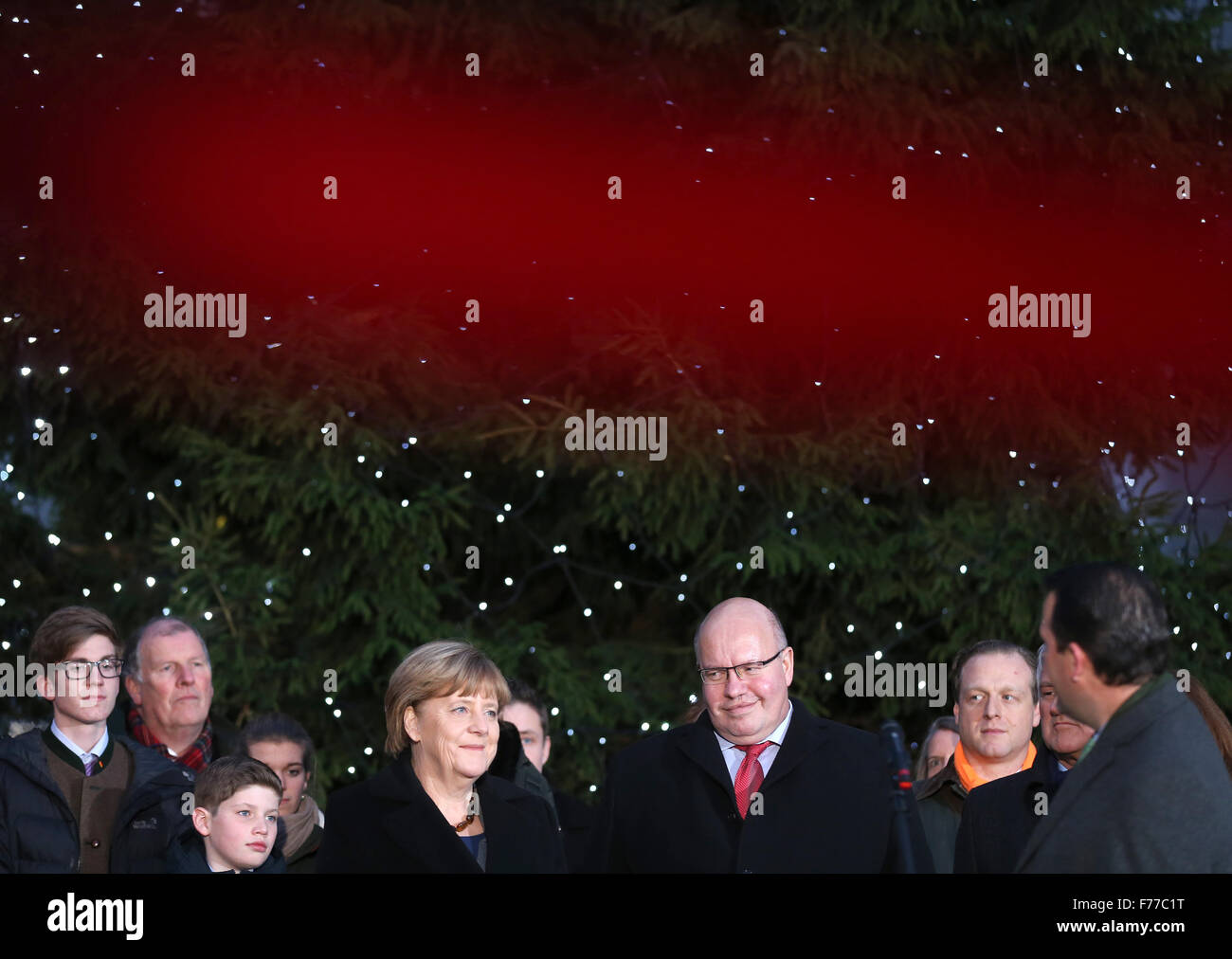 Berlin, Germany. 26th Nov, 2015. German Chancellor Angela Merkel (C, CDU) standing in front of a Christmas tree at the federal chancellery in Berlin, Germany, 26 November 2015. The Nordmann fir tree from the Gut Dobersdorf estate is one of three Christmas trees to Merkel, along with the German government's refugee coordinator Peter Altmaier (R, CDU) and integration commissioner Aydan Oezguz (SPD). PHOTO: KAY NIETFELD/DPA/Alamy Live News Stock Photo